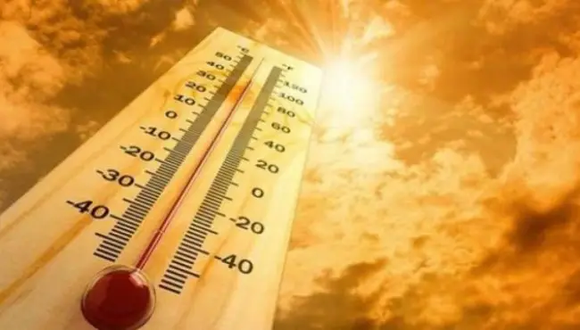 Temperaturat e larta rrisin rrezikun e sëmundjeve infektive në Evropë
